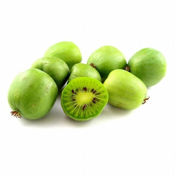 Tüplü Küçük Meyveli Hardy Bebek Kivi Fidanı ürün görseli 1