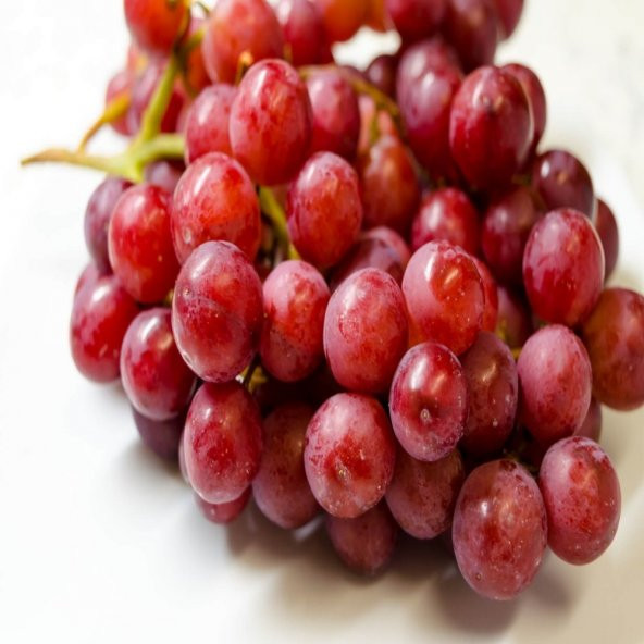 Tüplü Çekirdeksiz Aromalı  Flame Seedless Üzüm Fidanı ürün görseli 1