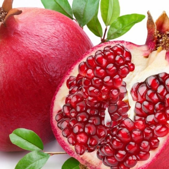 Tüplü Yüksek Aromalı Mayhoş Çekirdeksiz Yılmaz Nar Fidanı ürün görseli 1