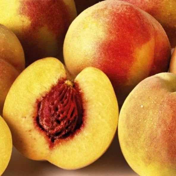 Tüplü Extra Erkenci Nisan Şeftalisi Flored Şeftali Fidanı ürün görseli 1