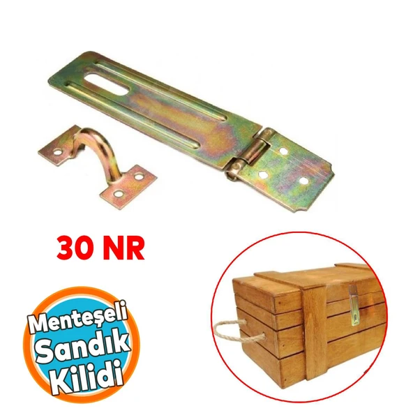 Sandık Kutu Askısı Kilit 30 Luk Menteşeli Tosba Kilit Asma Kilit Aparatı ürün görseli 1