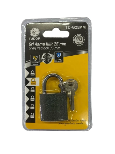 Ennalbur Tudor 25 mm Kısa Gri Asma Kilit ürün görseli 1