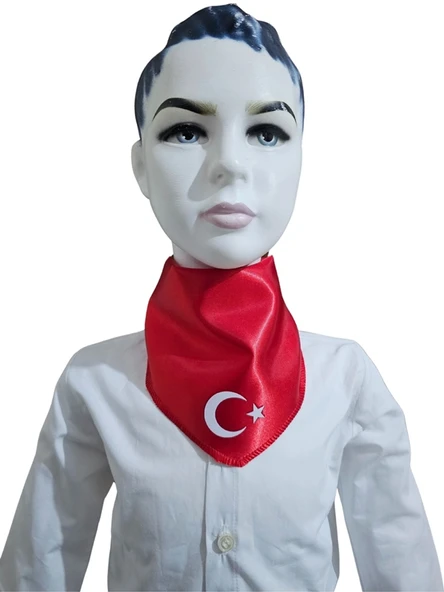 Ay Yıldızlı Fular - Resim 4