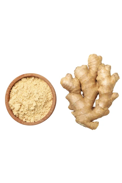 ZENCEFİL (ÖĞÜTÜLMÜŞ) 60GR - Resim 4