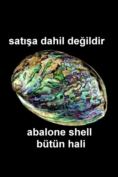 Abalone Shell Süper Renkli Sedef Bileklik 545-3 - Resim 6