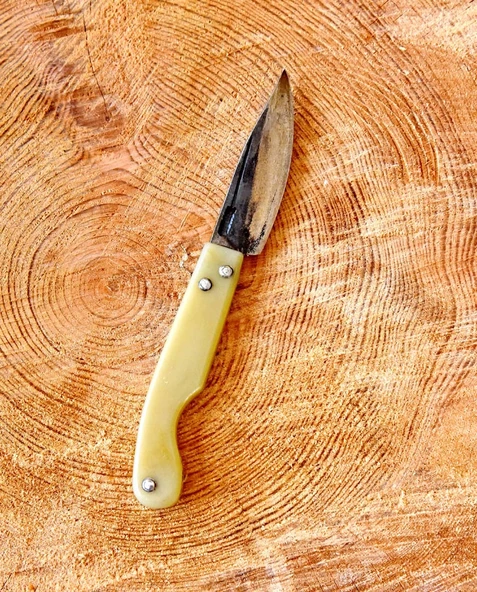 Tapan Aşı Cep Çakısı 18 cm Sarı ürün görseli 1