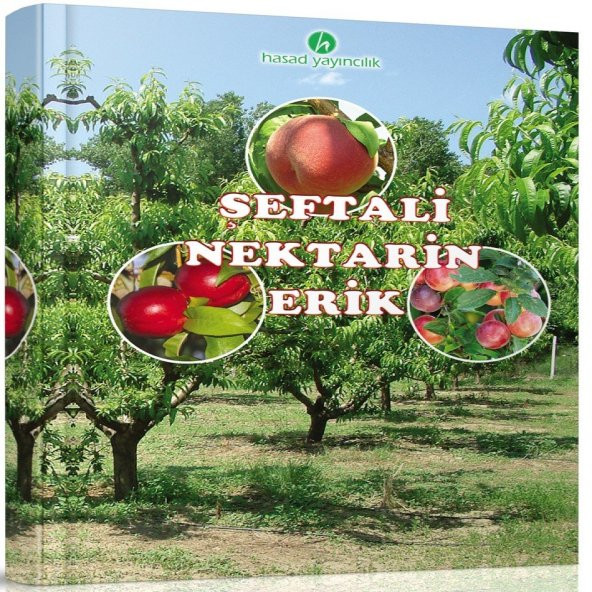 Şeftali, Nektarin ve Erik Kitabı ürün görseli 1