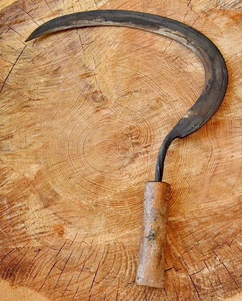 Tapan Ot Biçme Orağı 62-46X3 ürün görseli 1
