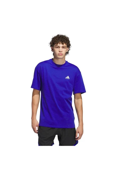 adidas Erkek  Mavi  GRAPHIC TEE (SHORT SLEEVE ADI BB GFX TEE JN7110 ürün görseli 1