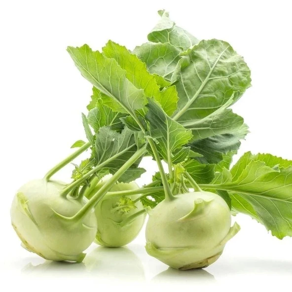 Ata Tohum Geleneksel Yeşil Kohlrabi(Alabaş) Tohumu (20 Tohum) ürün görseli 1