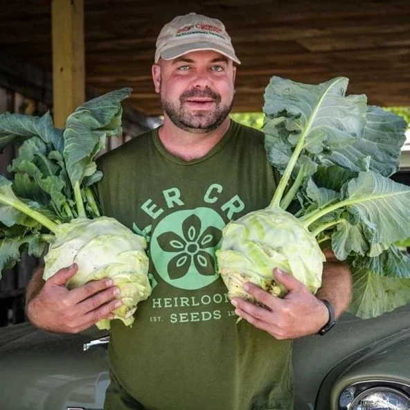 Ata Tohum Geleneksel Giantl Kohlrabi (Alabaş) Tohumu (15 Tohum) ürün görseli 1