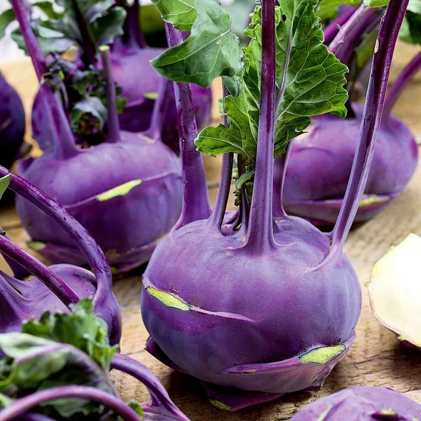 Ata Tohum Mor Kohlrabi (Alabaş) Tohumu (15 Tohum) ürün görseli 1