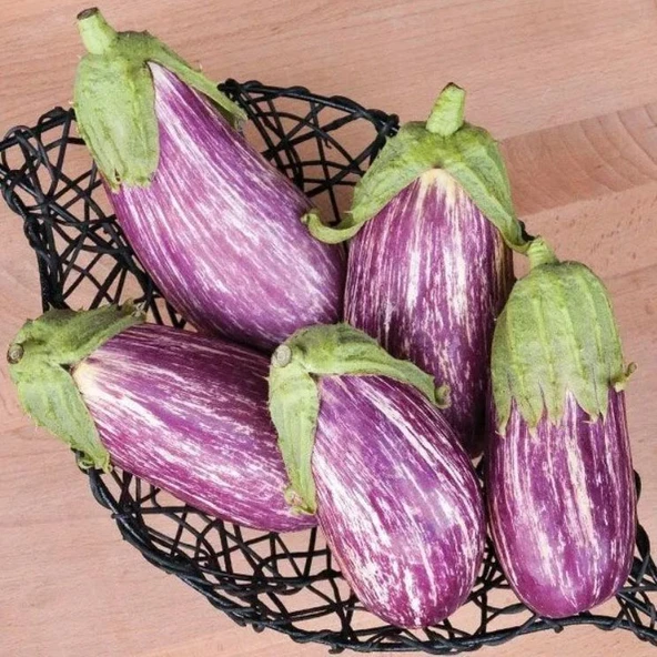 Calliope Etli Patlıcan Tohumu (15 tohum) ürün görseli 1