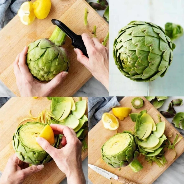 Ata Tohum Geleneksek Yeşil Green Globe Enginar Tohumu(10 Tohum) ürün görseli 1