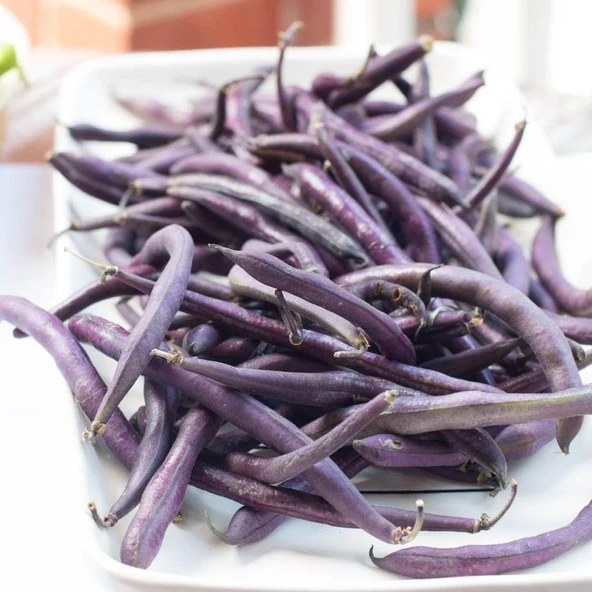 Geleneksel Purple Wax Sırık Fasulye Tohumu (10 tohum) ürün görseli 1