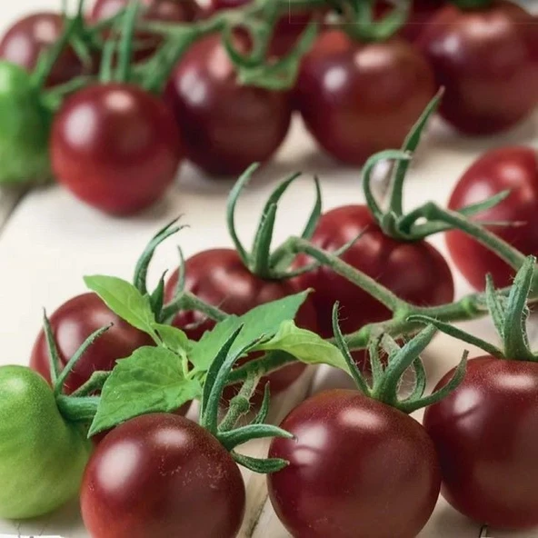 Aroması Yüksek Chocolate Cherry Domates Tohumu (15 tohum) ürün görseli 1