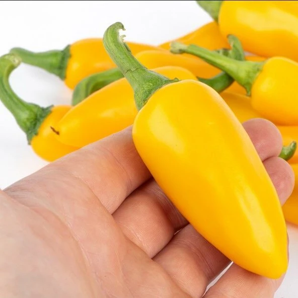 Jalepeno Yellow Çok Acı Biber Tohumu (15 Tohum) ürün görseli 1