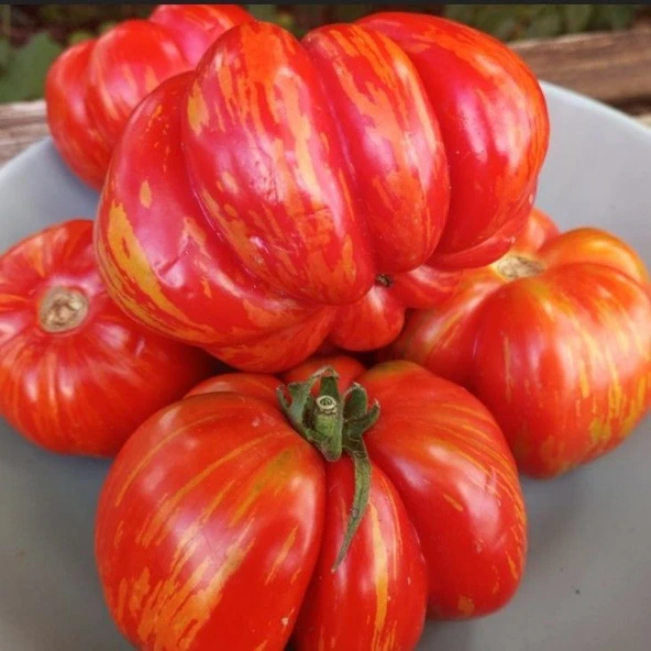 Striped Cavern Çizgili Domates Tohumu (15 tohum) ürün görseli 1