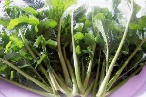 Doğal Hardal Otu Tohumu(100 tohum) ürün görseli 1