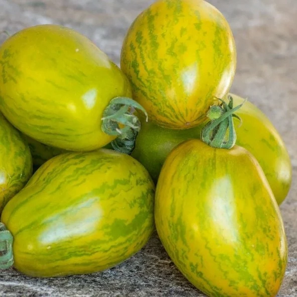 Dwarf Saucy Mary Yeşil Sarı Alacalı Etli Domates Tohumu (15 tohum) ürün görseli 1