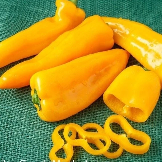 Nadir Ata Tohum Geleneksel Acı Yellow Jalapeno Biber Tohumu (10 Tohum) ürün görseli 1