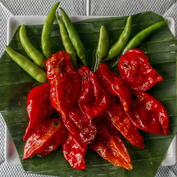 Doğal Dünyanın En Acı Biber Tohumu(Bhut Jolokia) 4 Tohum ürün görseli 1