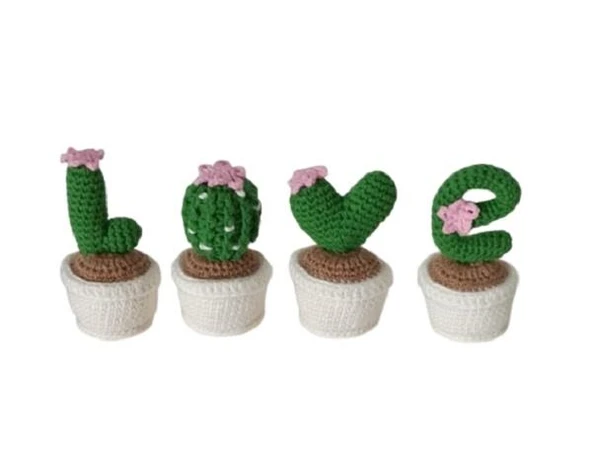 Love Kaktüs Seti Amigurumi Organik Oyuncak ürün görseli 1