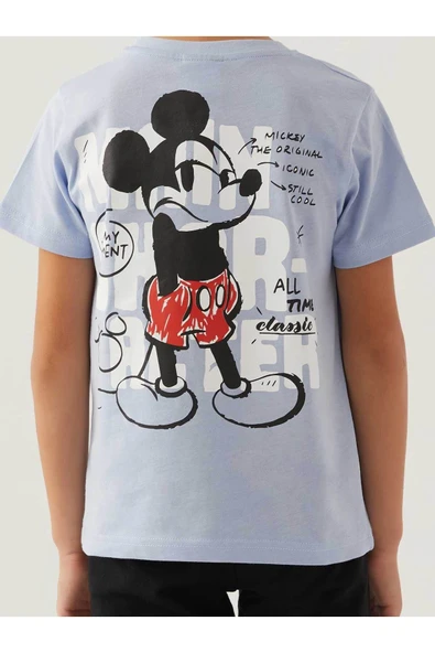 Disney Erkek Çocuk  Bermuda Takım - Resim 5