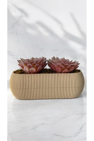 DDTREND Yapay Kaktüs Sempervivum Tomentosum Sukulent Bej Saksılı Pembe Renk 11 cm. ürün görseli 1