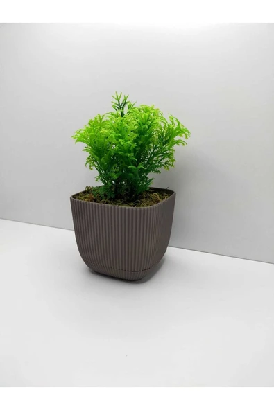 DDTREND Mini Kare Saksıda Çim Yeşili Yapay Çiçek Bitki , Gerçek Taş Yosunlu Banyo Mutfak Masa Çiçeği ürün görseli 1