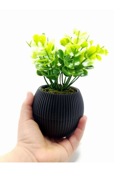DDTREND Mini Saksıda Yapay Bitki Şimşir Gerçek Taş Yosunlu Toplam 18 Cm Dekoratif Banyo Mutfak Masa Çiçeği ürün görseli 1