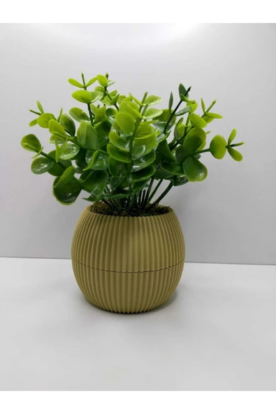 DDTREND Mini Saksıda Yapay Çiçek Bitki Şimşir Gerçek Taş Yosunlu Toplam 18 Cm Dekoratif Masa Raf Çiçeği ürün görseli 1