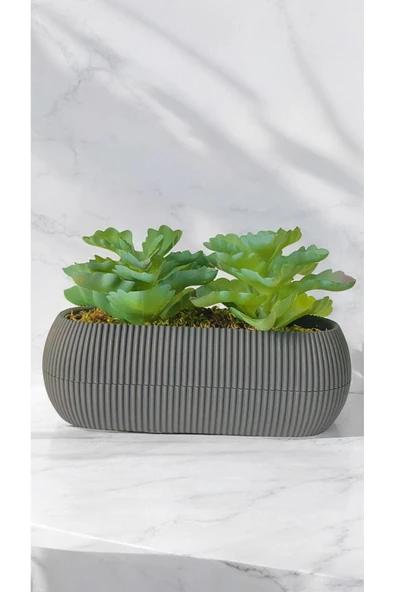 DDTREND Yapay Kaktüs Echeveria Rosea Enrica Sukulent Bej Saksılı Yeşil Renk 11 cm. ürün görseli 1