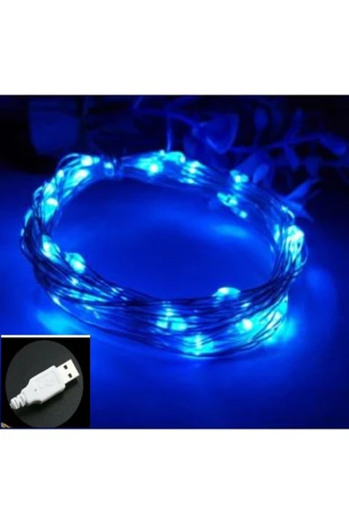 DDPEST Usb Ile Çalışan Dekoratif 10 Metre Peri Led Işık Mavi Işık Çok Amaçlı Aydınlatma-nt ürün görseli 1