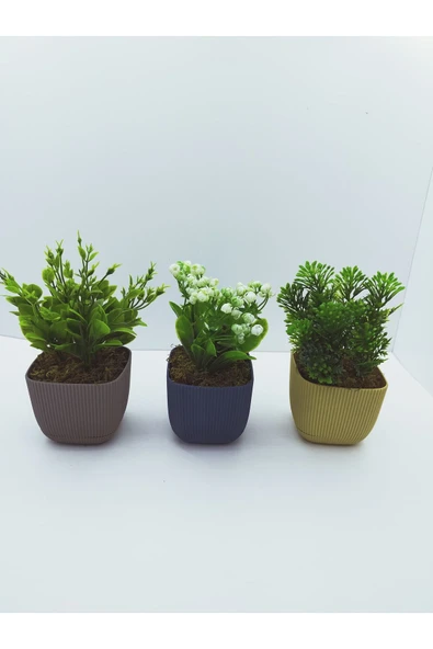 DDTREND Kare Saksıda Yapay Çiçek Bitki , Gerçek Taş Yosunlu 3 LÜ SET ürün görseli 1
