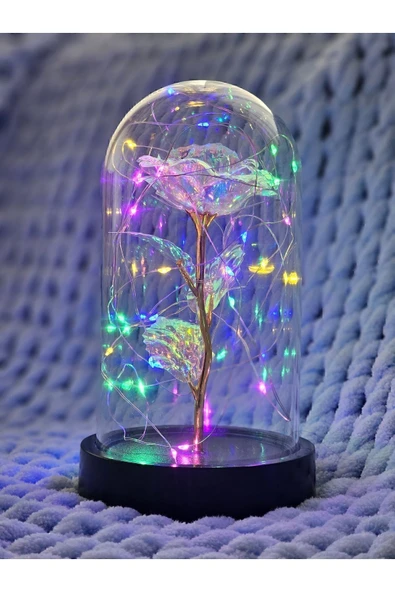 DDTREND Solmayan Sonsuzluk Gülü Fanuslu Gece Lambası Sevgililer Günü Dekoratif Rengarenk Peri Led Işıklı ürün görseli 1
