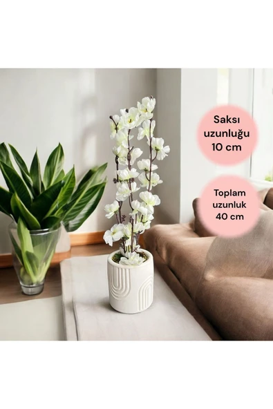 DDTREND Beton Saksıda Gerçek Taş Yosunlu Yapay Japon Kiraz Çiçeği,Saksı ,Aranjman , Ev dekorasyon ürün görseli 1