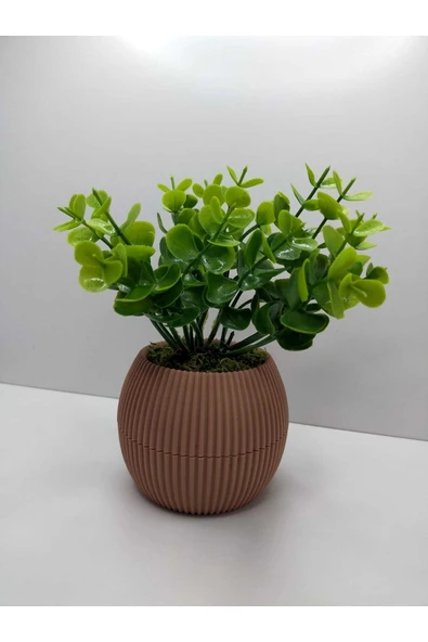 DDTREND Mini Saksıda Yapay Çiçek Bitki Şimşir Gerçek Taş Yosunlu Toplam 18 Cm Dekoratif Masa Raf Çiçeği ürün görseli 1