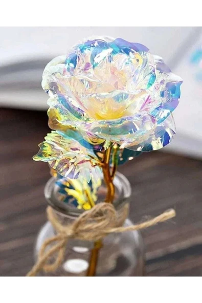 DDTREND Sonsuzluk Gülü Rengarenk Hologramlı Sevgililer Günü Anneler Günü Hediyesi 24 Cm 1 ADET ürün görseli 1