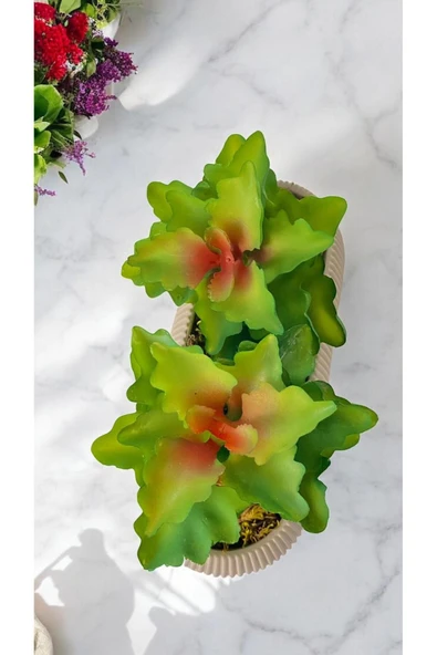 DDTREND Yapay Kaktüs Echeveria Rosea Enrica Sukulent BEJ Saksılı Yeşil Renk 11 cm. ürün görseli 1