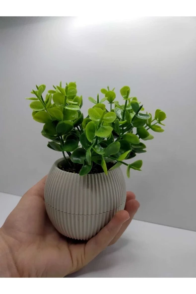DDPEST Bej Saksı Şimşir Yapay Çiçek Bitki Gerçek Taş Yosunlu 18 Cm Dekoratif Masa Raf Çiçeği No:1-DS ürün görseli 1