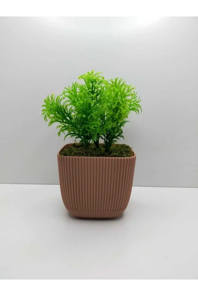DDTREND Mini Kare Saksıda Çim Yeşili Yapay Çiçek Bitki , Gerçek Taş Yosunlu Banyo Mutfak Masa Çiçeği ürün görseli 1