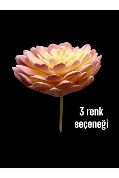 DDTREND Yapay Çiçek Slikon Kaktüs Sukulent Tekli Model No:3 ürün görseli 1