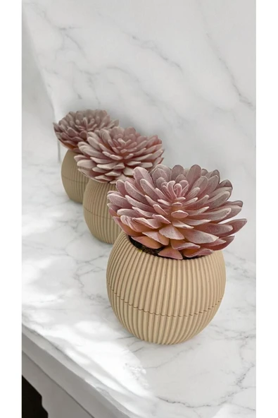 DDTREND Yapay Kaktüs Sempervivum Tomentosum Sukulent 3'Lü Bej Saksılı Mor Renk 11 cm. ürün görseli 1