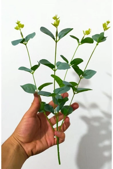 DDPEST Dekoratif Okaliptus Tek Dal 35 Cm Yapay Çiçek-ls ürün görseli 1