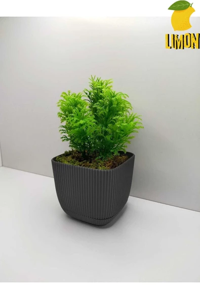 DDPEST Gerçek Taş Yosunlu Mini Kare Saksıda Çim Yeşili Yapay Çiçek Bitki, Masa Çiçeği ürün görseli 1