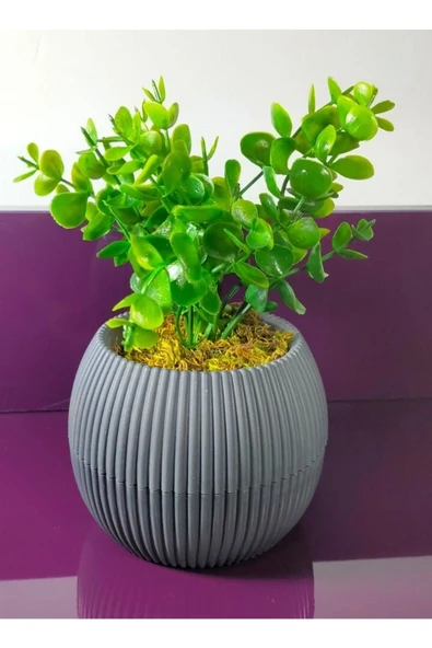 DDTREND Saksıda Yapay Bitki Şimşir Taş Yosunlu Mercan Saksı 20 Cm Dekoratif Banyo Mutfak Masa Çiçeği ürün görseli 1