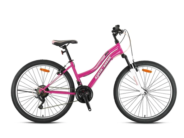 SWAN LADY PLUS - 26  - MTB -15'- 21 Vites - V.B - Pembe-Siyah/Ekru ürün görseli 1