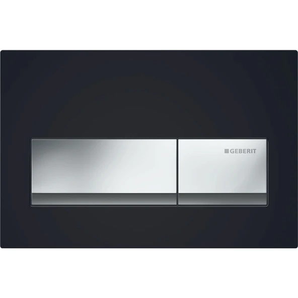 Geberit Alpha50 Kumanda Kapağı Çift Basmalı, Siyah, 115.060.DW.1 ürün görseli 1