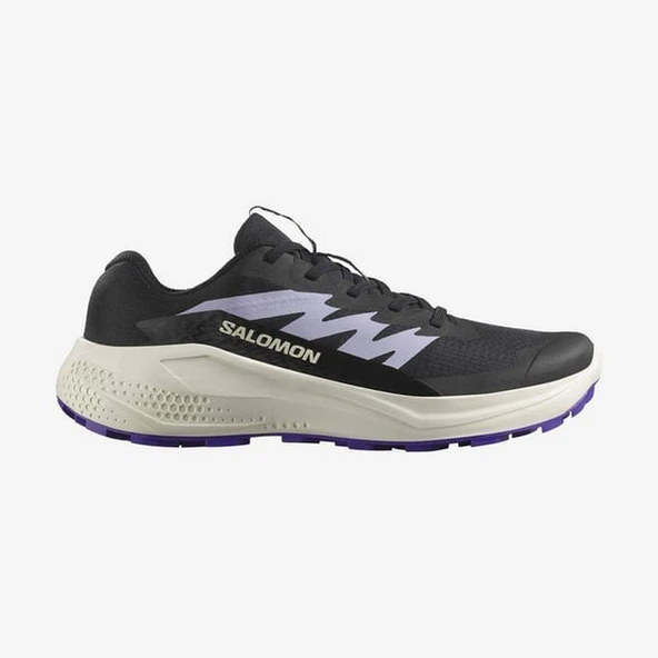 Salomon ALPHAGLIDE W Kadın Ayakkabısı L47801800 ürün görseli 1